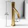 Apollo Button Operated Single Hole Bathroom Vessel Sink Faucet