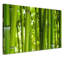 Bamboo 1 Piece Wrapped Canvas Wall Art-730093838
