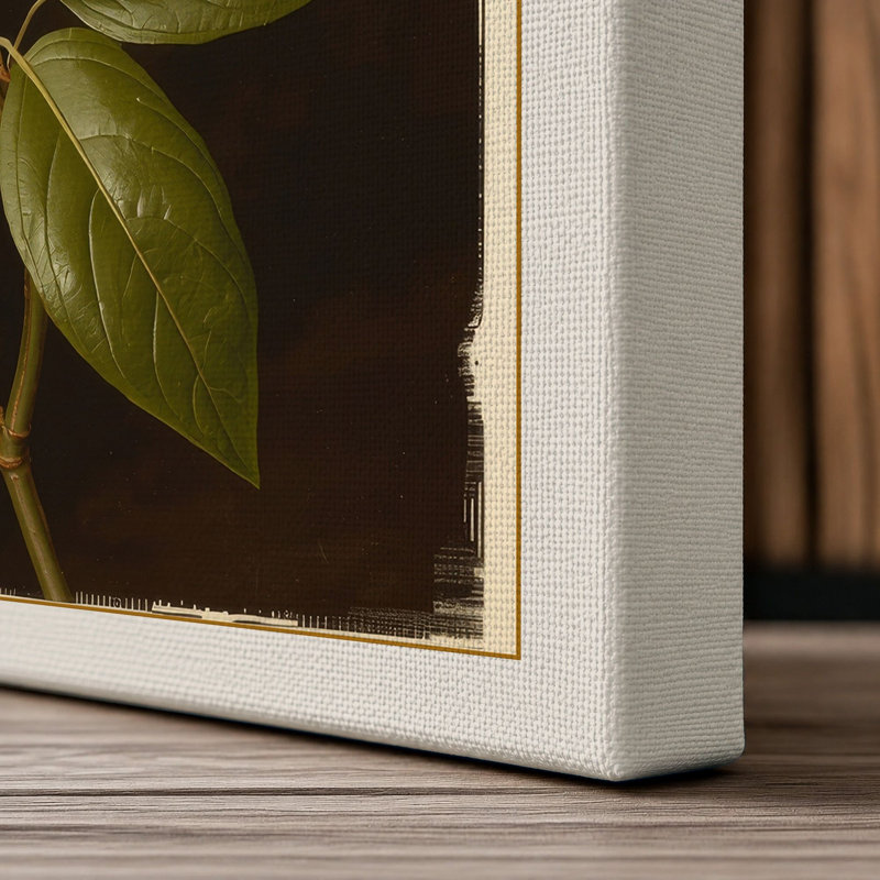 Pale Bloom Study Botanical - Wrapped Canvas, 18x12 - 45.7 x 30.5 cm, Cream Border