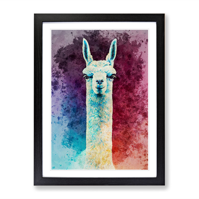 Llama Portrait - Framed Print, Black, 64cm H x 46cm W x 2cm D