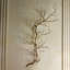 Twig Photographic Print-88478761