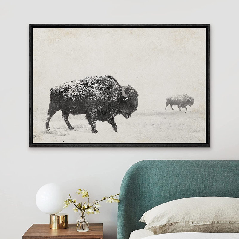 Black and White Bison Landscape Canvas Print with Natural Frame