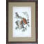 Audubon Screech Owl Print by Audubon
