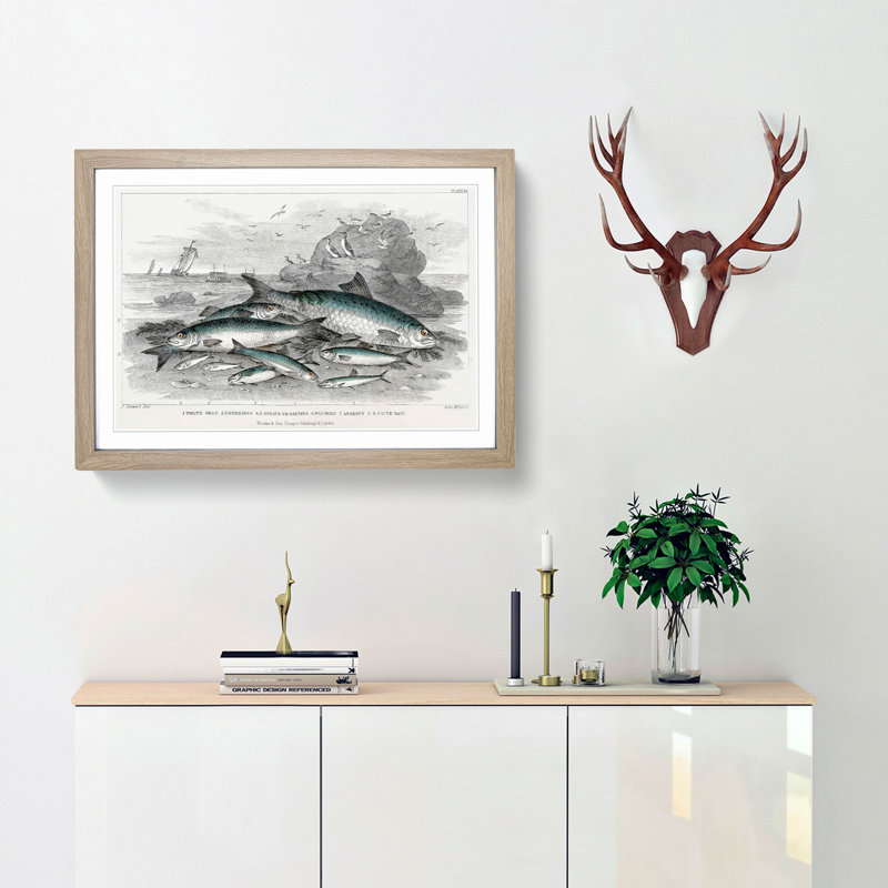 Beached Fish by Oliver Goldsmith - Single Picture Frame Painting, 33cm H x 45cm W x 2cm D, Oak Framed