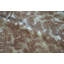 Wool Animal Print Area Rug in Rust/Blue