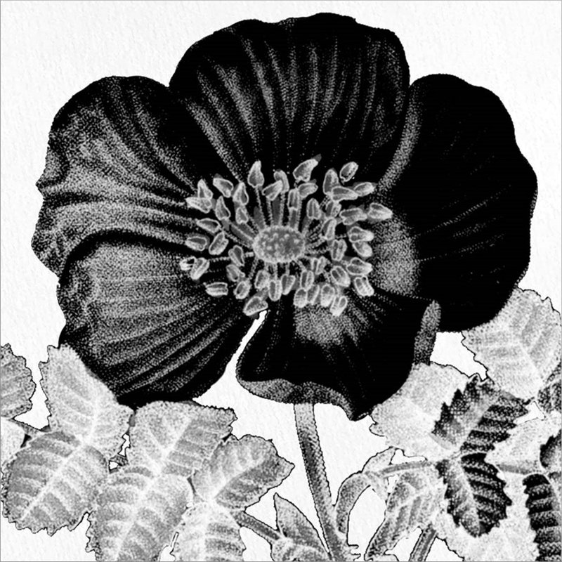 Décoration murale Bloom