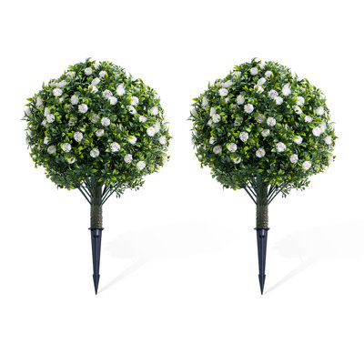60cm Plant