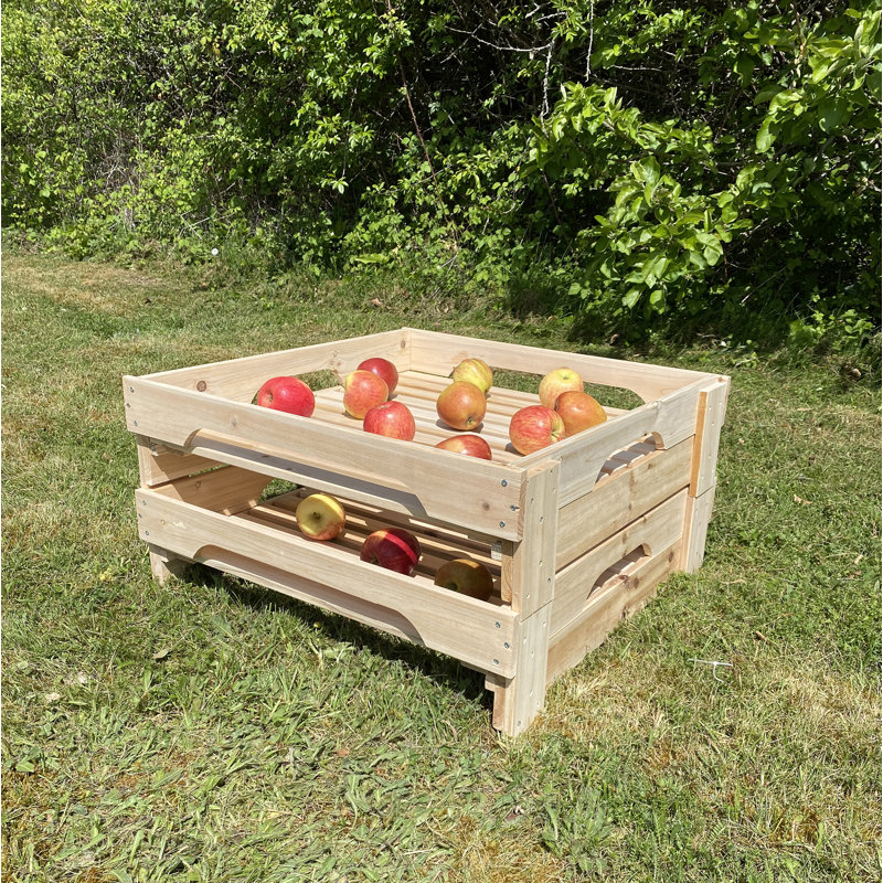 Harji Wood Food Storage Container