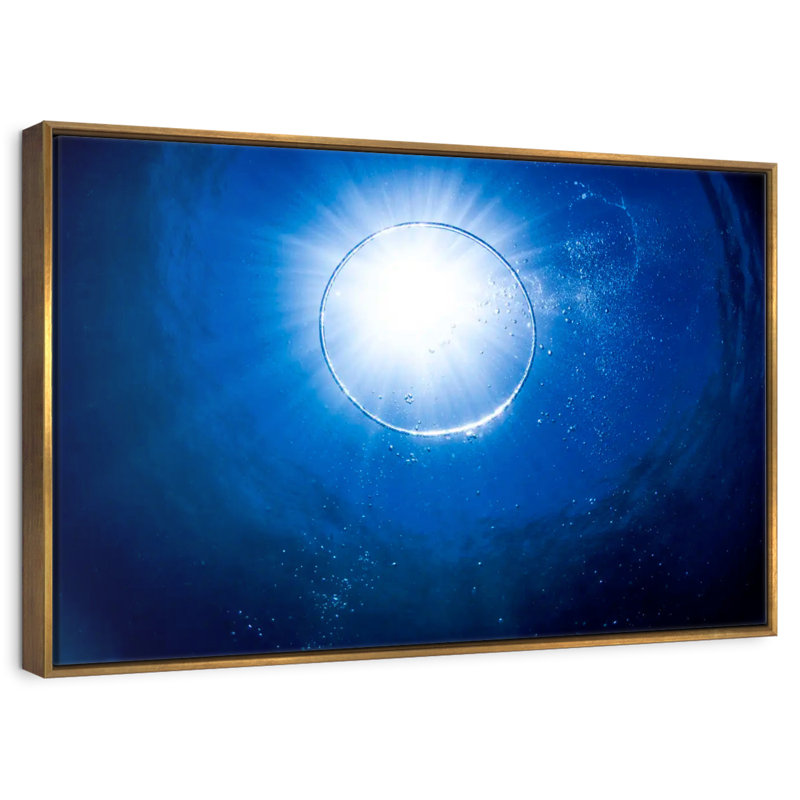Underwater Bubble, 46" X 31", Floating Frame Gold
