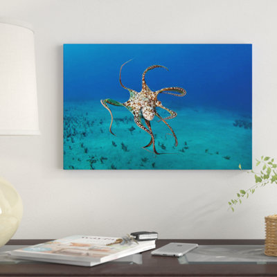 « day octopus (octopus cyanea), hawaii », reproduction de photo sur toile