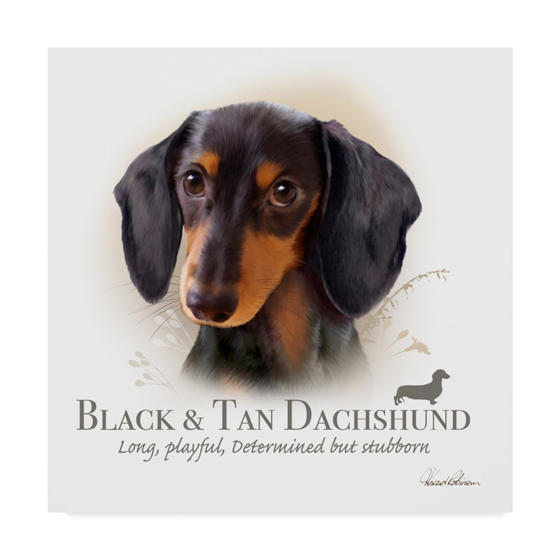 Howard Robinson Black and Tan Dachshund Canvas Art