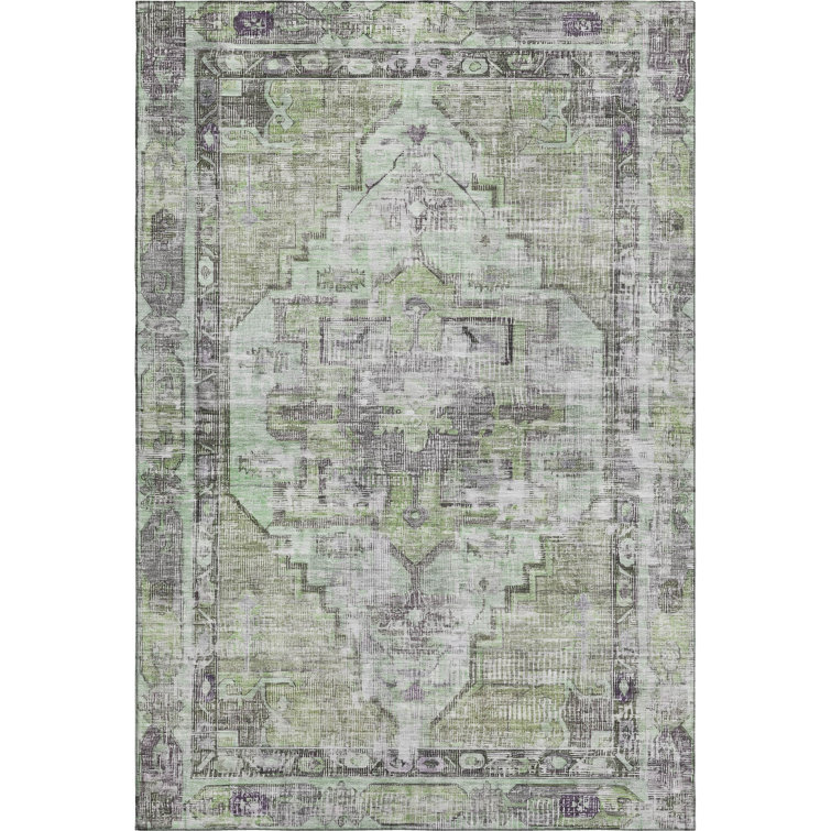 Premium Machine Washable Lucchesi AMF1729 Global Rug