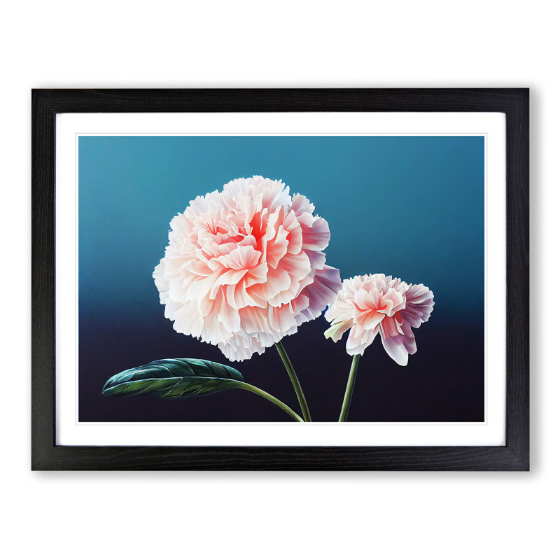 Wild Carnation Flowers - Framed Print, 25cm H x 34cm W x 2cm D, Black Framed