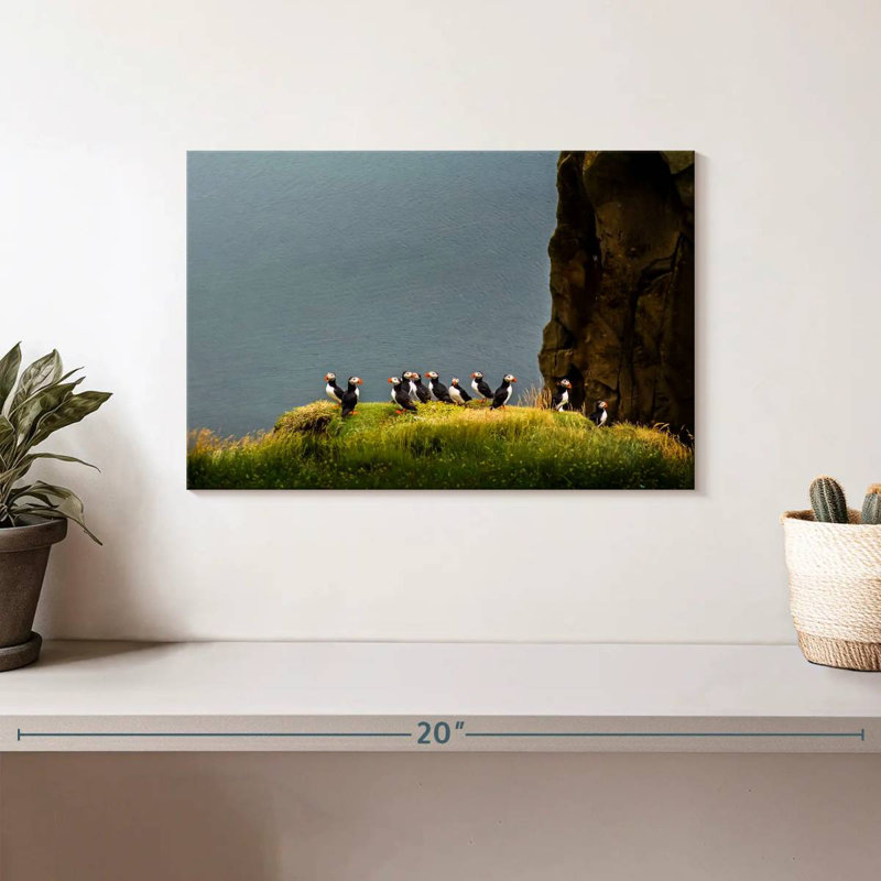 Crowle Cliff Puffin Birds, 8" H x 12" W