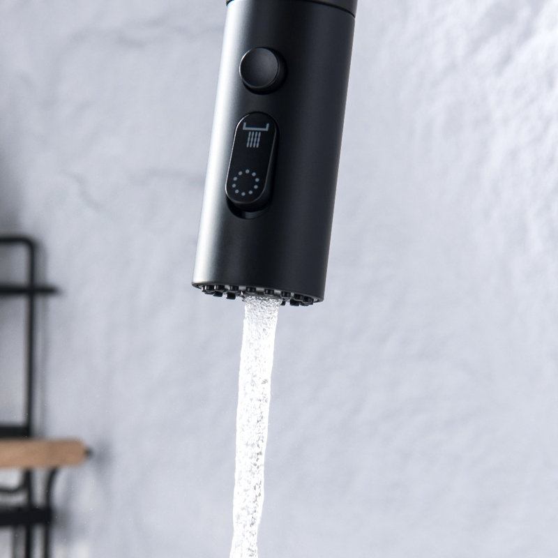 Inhouse Kitchen Faucet, Matte Black
