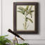 Banana Palm I - reproduction d'art sur toile-73974991
