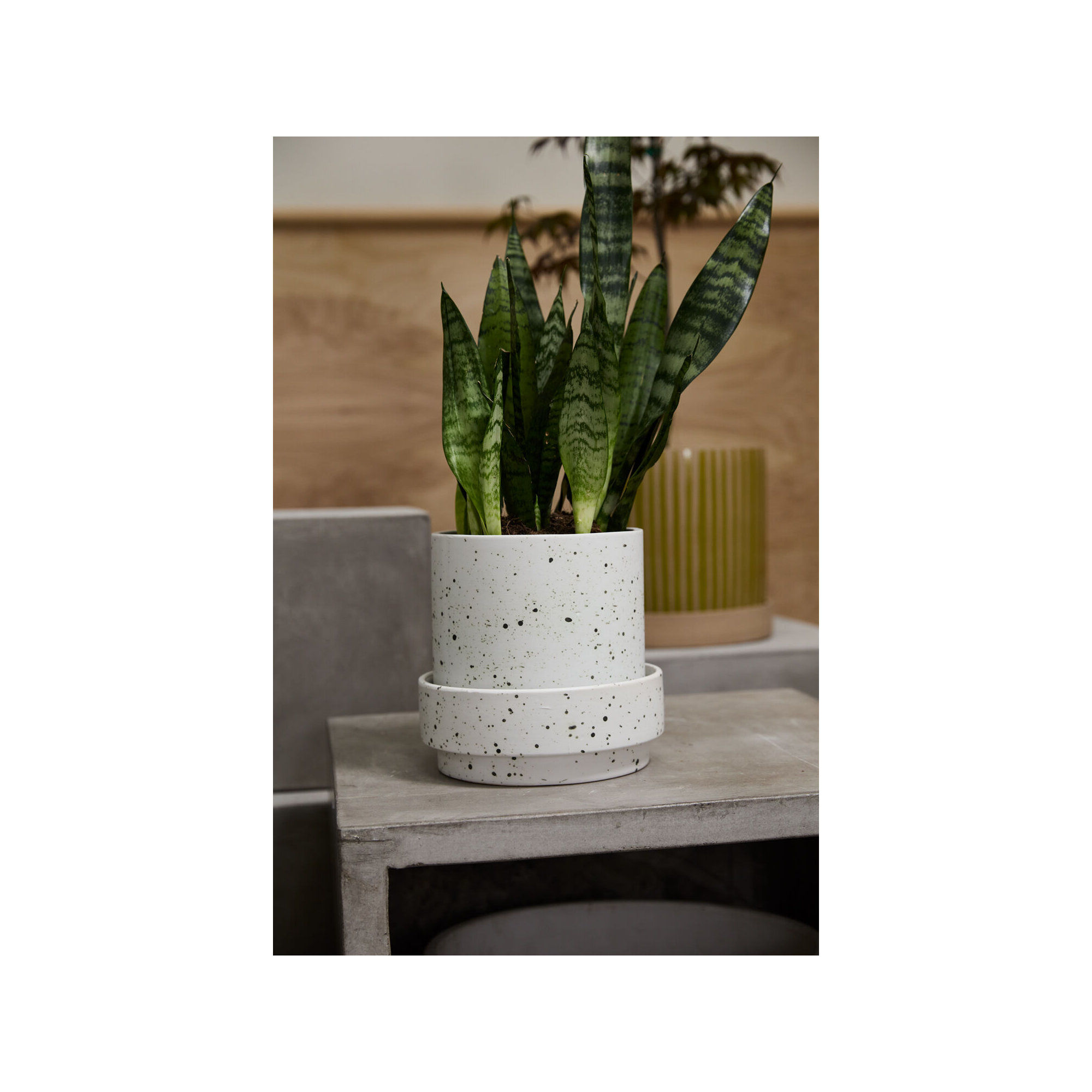 Bridgeway Pot with Saucer, 7.75" H x 8" W x 8" D
