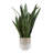 Uttermost Sansera Snake Accent Plant