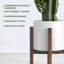 Support à plante moderne Mid Century