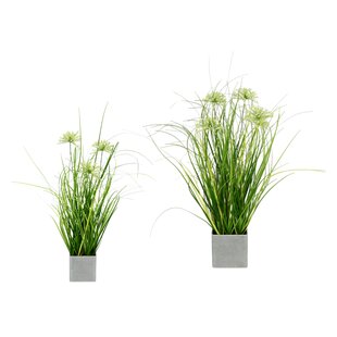 Kunstpflanzen (Tischpflanze; Gras) zum Verlieben