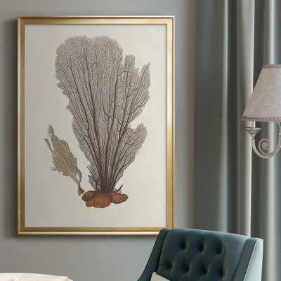 Knorr Shells & Coral III, reproduction encadrée de qualité supérieure - prête à être accrochée