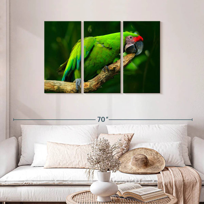 Brampt Military Macaw, 28" H x 45" W