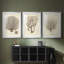 Esper Sea Fans I - reproduction sur mesure encadrée de qualité supérieure - 3 pièces-452960586