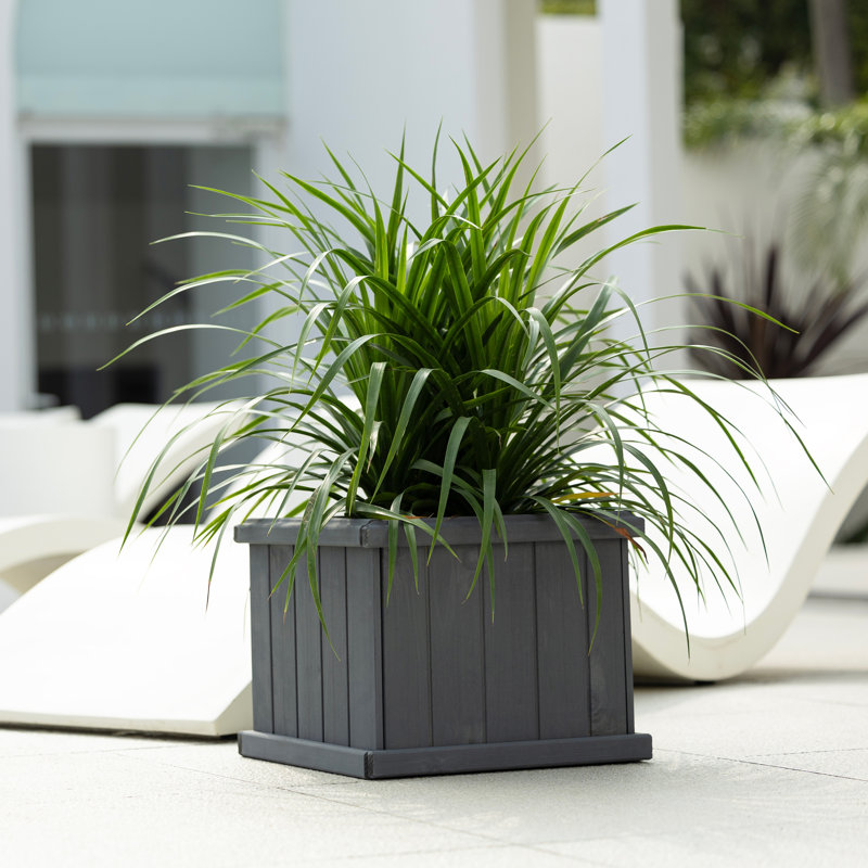 Barros Outdoor Wood Planter Box New house beauty and hope Raised Garden Bed, 30.5cm H x 38.1cm W x 38.1cm D, Grey