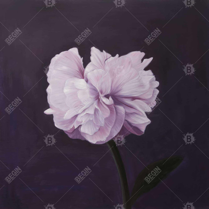 Beautiful purple flower - 18"x18" Throw pillow cover - Poly twill - Print on demand