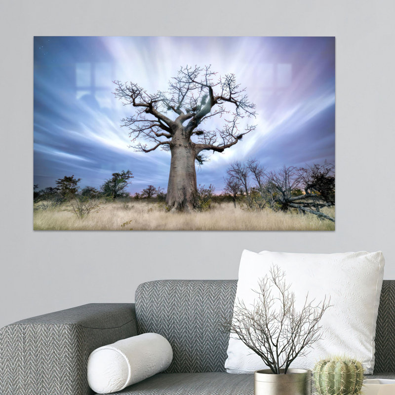 Décoration murale Big Baobab sur verre trempé côtier, pour les amateurs d'art et les amoureux de la nature