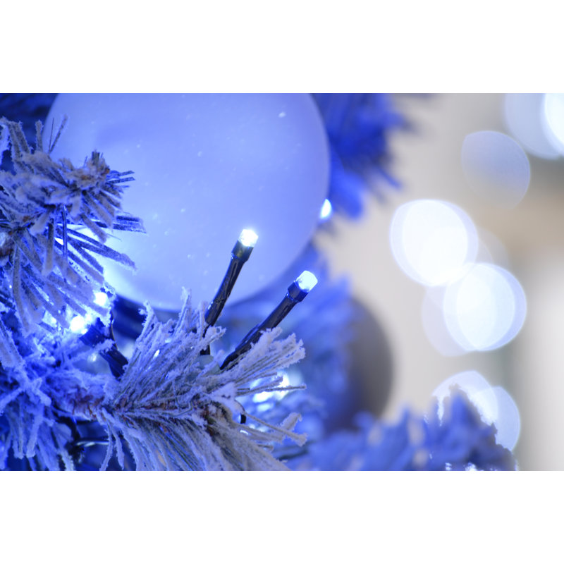 0.5cm LED Twinkle Indoor / Outdoor String Lights