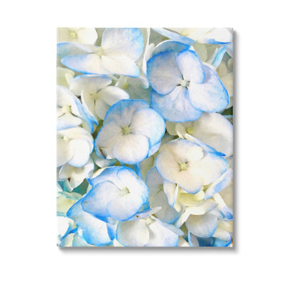"Blue Pansies" par Graffitee Studios sur toile
