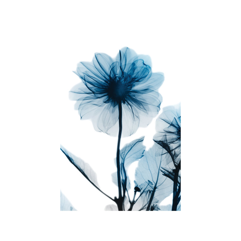 Sapphire Gleam II - Wrapped Canvas Print, 20.32 cm H x 30.48 cm W