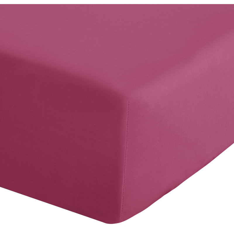Easy Iron Percale Fitted Sheet, Single (3'), Hot Pink