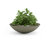 Oceanside Shallow Concrete Planter-714593641-714593640