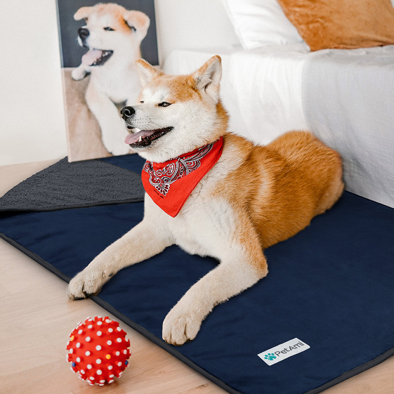 Medium Blue and Charcoal Waterproof Reversible Pet Blanket