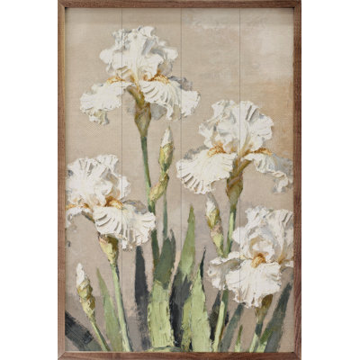 Iris Patch