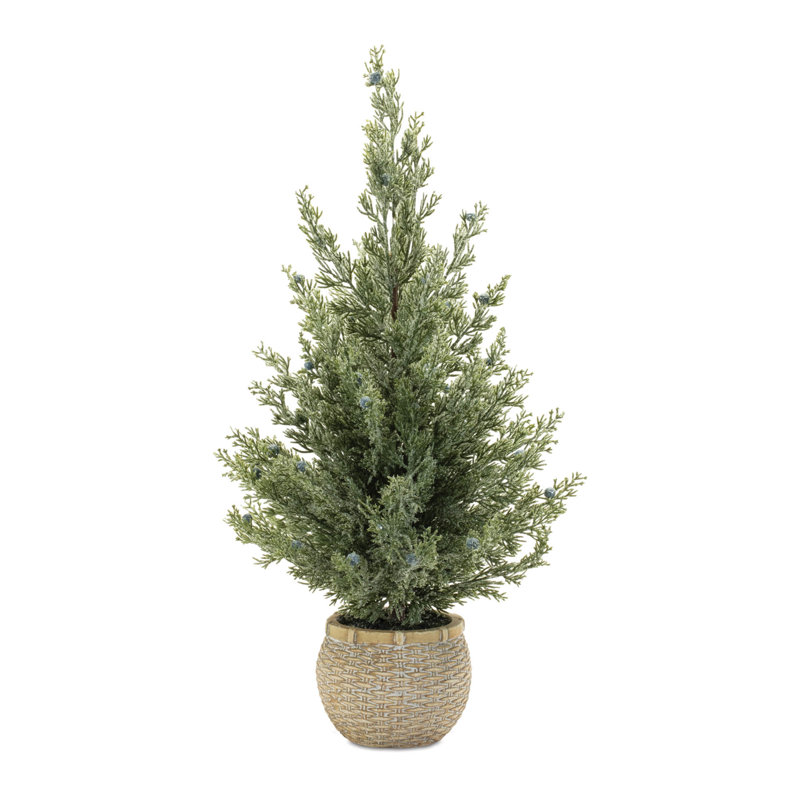Potted Mini Pine Tree (Set of 2)