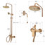 Michalski Mixer Shower with Dual Shower Head