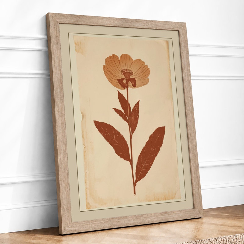 Herbarium Specimen Botanical - Print, Oak, A4 - 29.7 x 21.0 cm