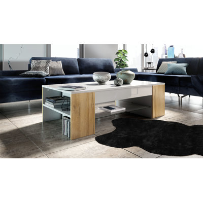 Alldredge Mazzone Coffee Table with Storage Space