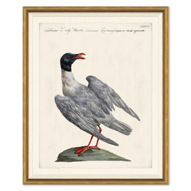 Odd Birds Giclee Print