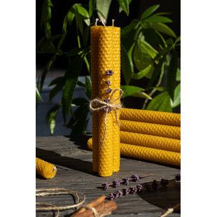 Unscented Taper Candle (Set of 10)