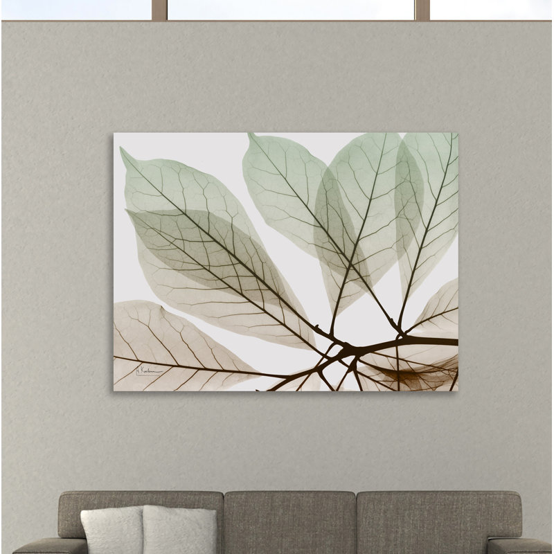 «Earthy Magnolia», toile tendue par Albert Koetsier, H 15 po x l 20 po x P 1,5 po