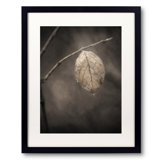 Holding On by Scott Norris