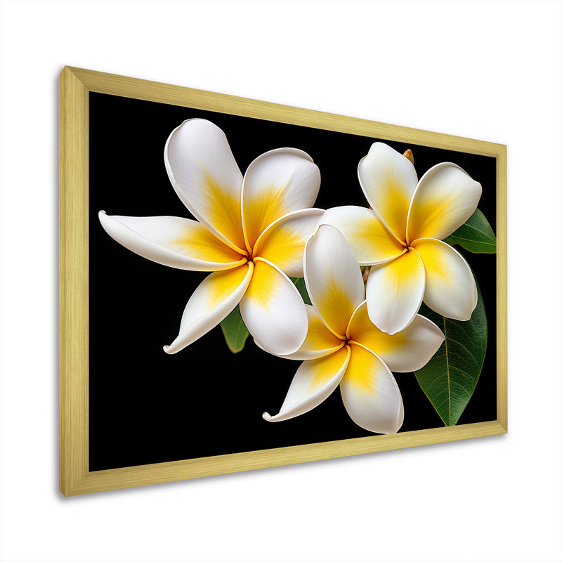 «Dreamscape Plumerias P pureté» sur toile, H 24 po x l 32 po x P 1 po, Cadre photo doré simple