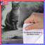 Trois housses de couette Three Tabby Cats-126400402