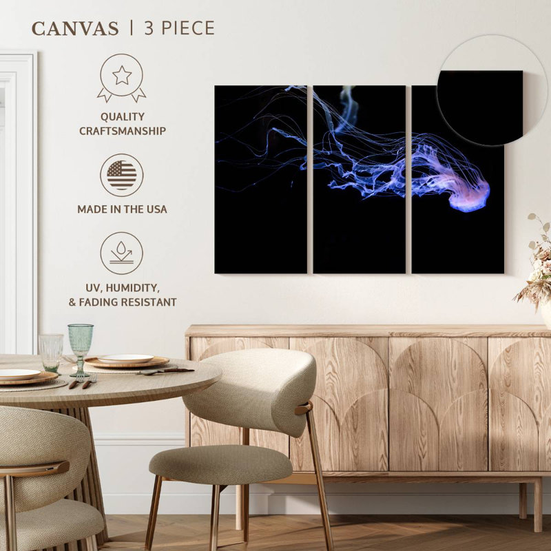 Atlantic Sea Nettle, 42" H x 65" W