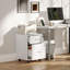 41cm Wide 2 -Drawer File Cabinet