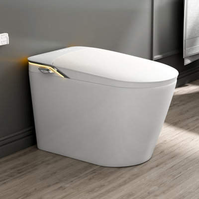 Tucson Elongated Smart Bidet Toilet with Heated Seat, Auto Flush, Powerful Siphonic Flush, Bidet Wash, Warm Air Dryer, Night Light, Remote Control Included(No Auto Open Lid)